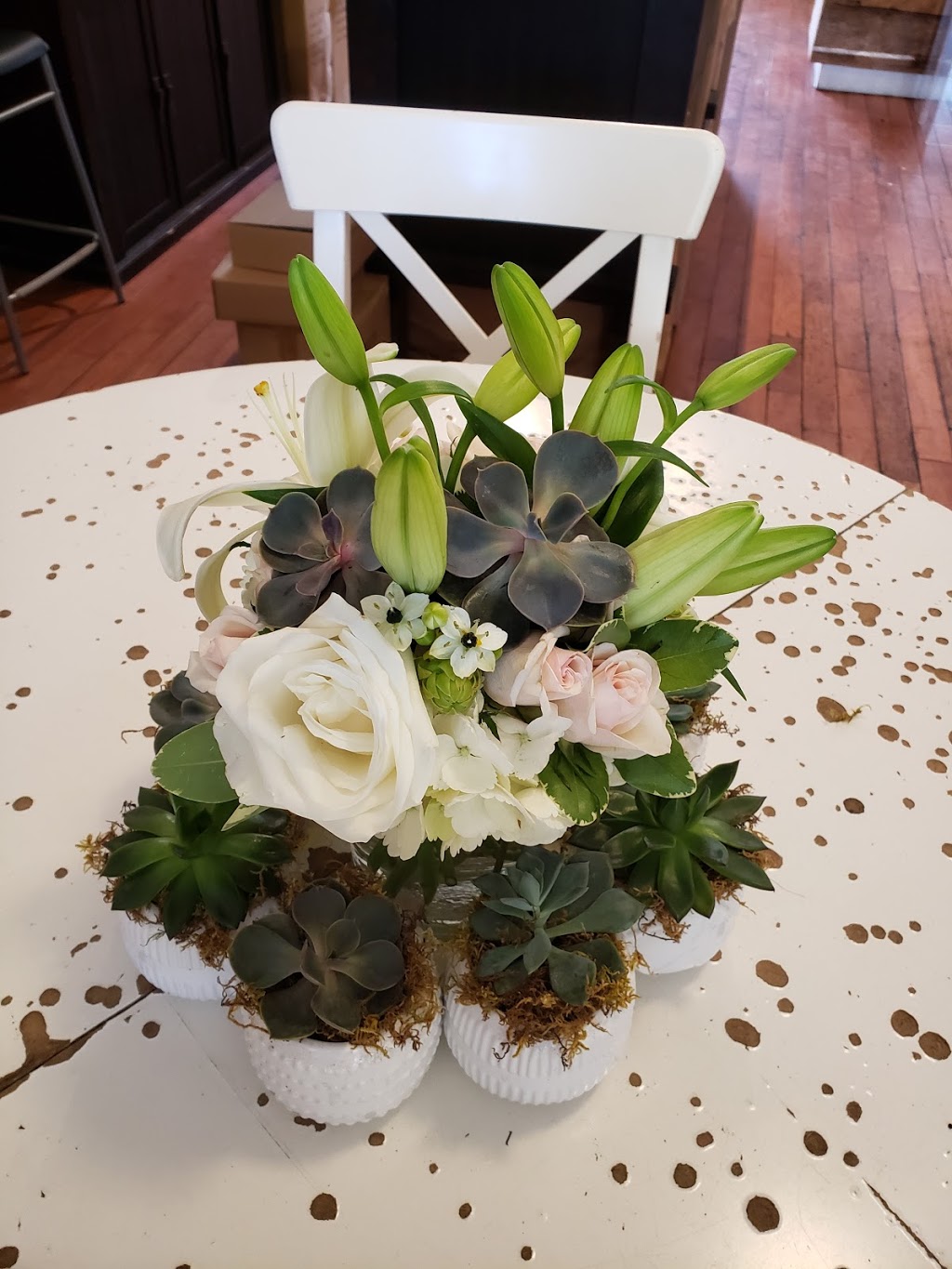 Pink Twig | 711 College St, Toronto, ON M6G 1C2, Canada | Phone: (416) 537-7465