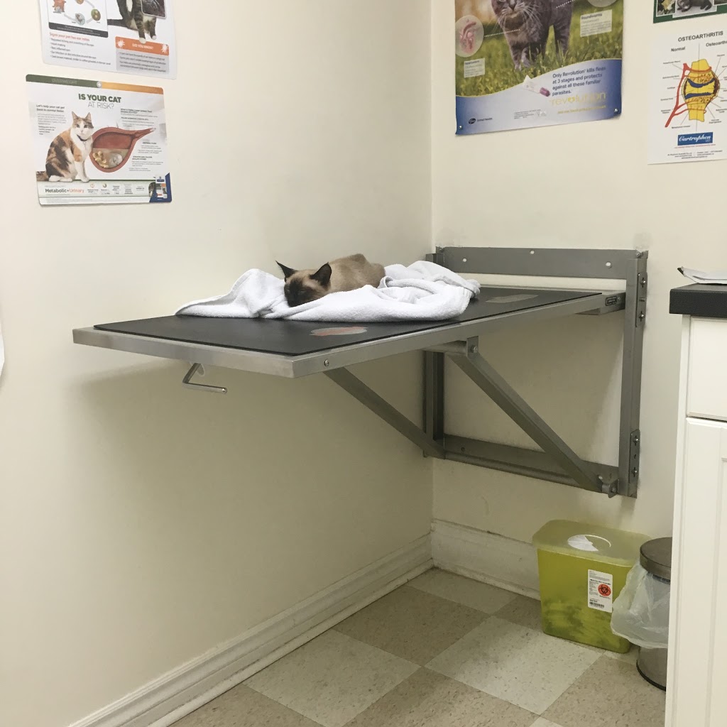 Church Yonge Animal Clinic | 19 Church Ave, North York, ON M2N 4E7, Canada | Phone: (647) 348-3060
