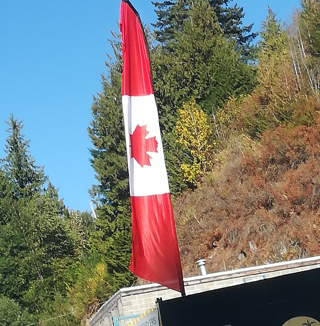 Super LAuto Recyclers | 4777 Cultus Lake Rd, Chilliwack, BC V2R 4C6, Canada | Phone: (604) 858-3341