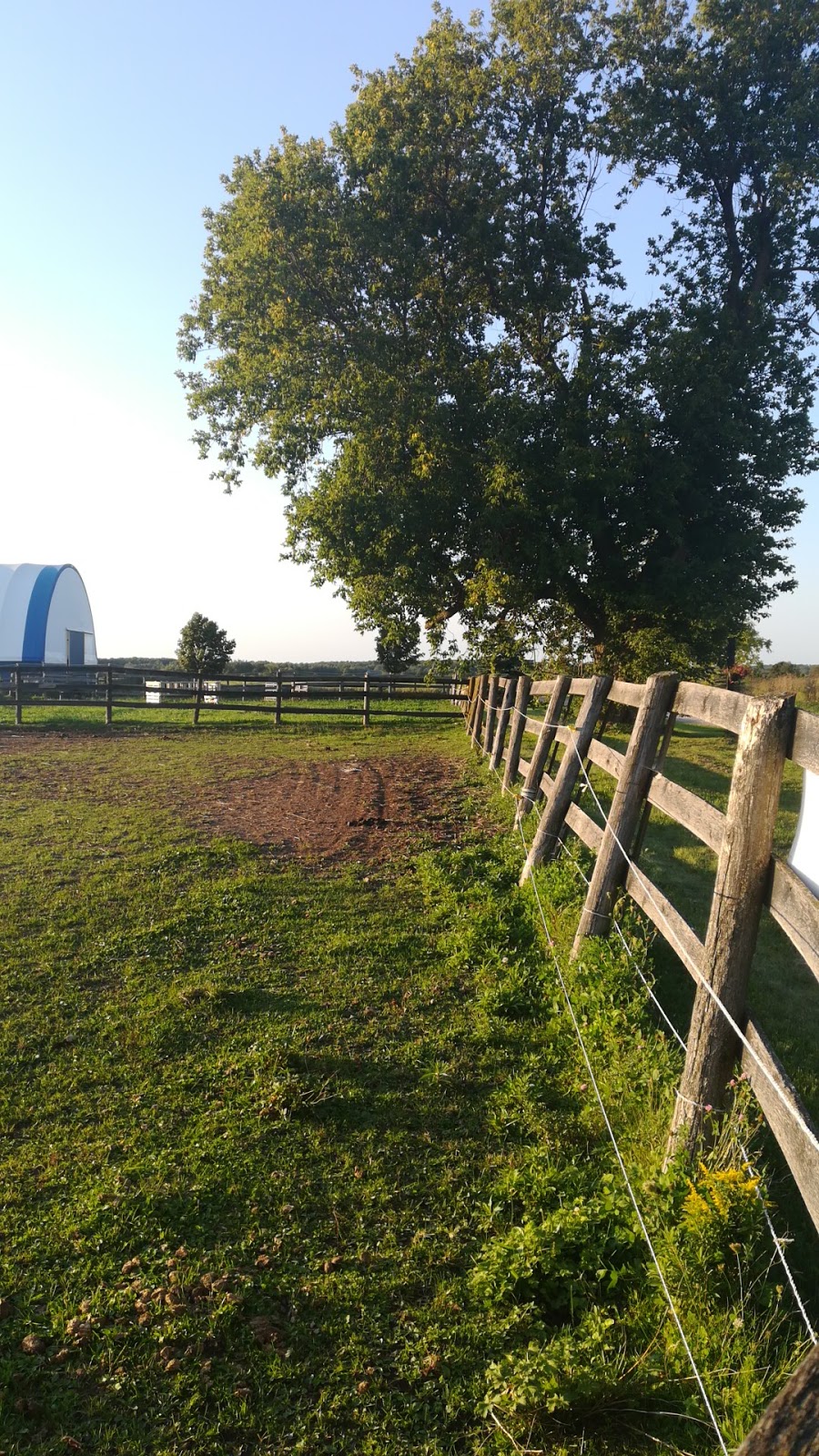 Signature Farms | 4088 5th Line, Innisfil, ON L9S 3B4, Canada | Phone: (905) 505-1754