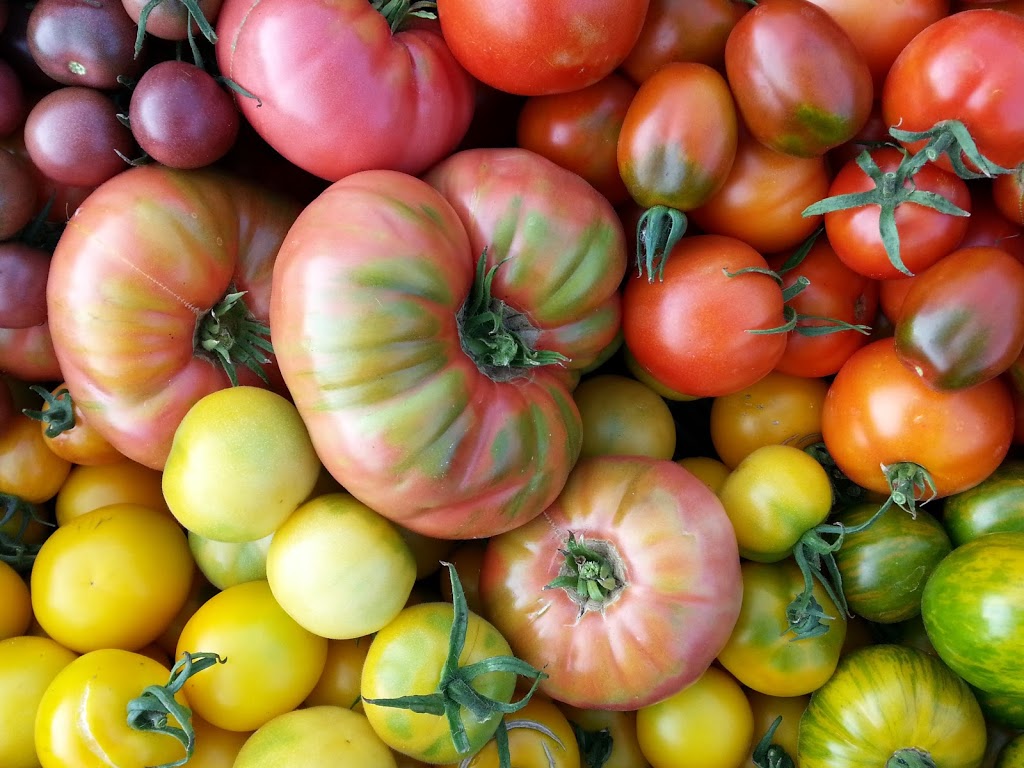 Wheelbarrow Farm | 535 Durham Regional Rd 13, Sunderland, ON L0C 1H0, Canada | Phone: (647) 335-3190