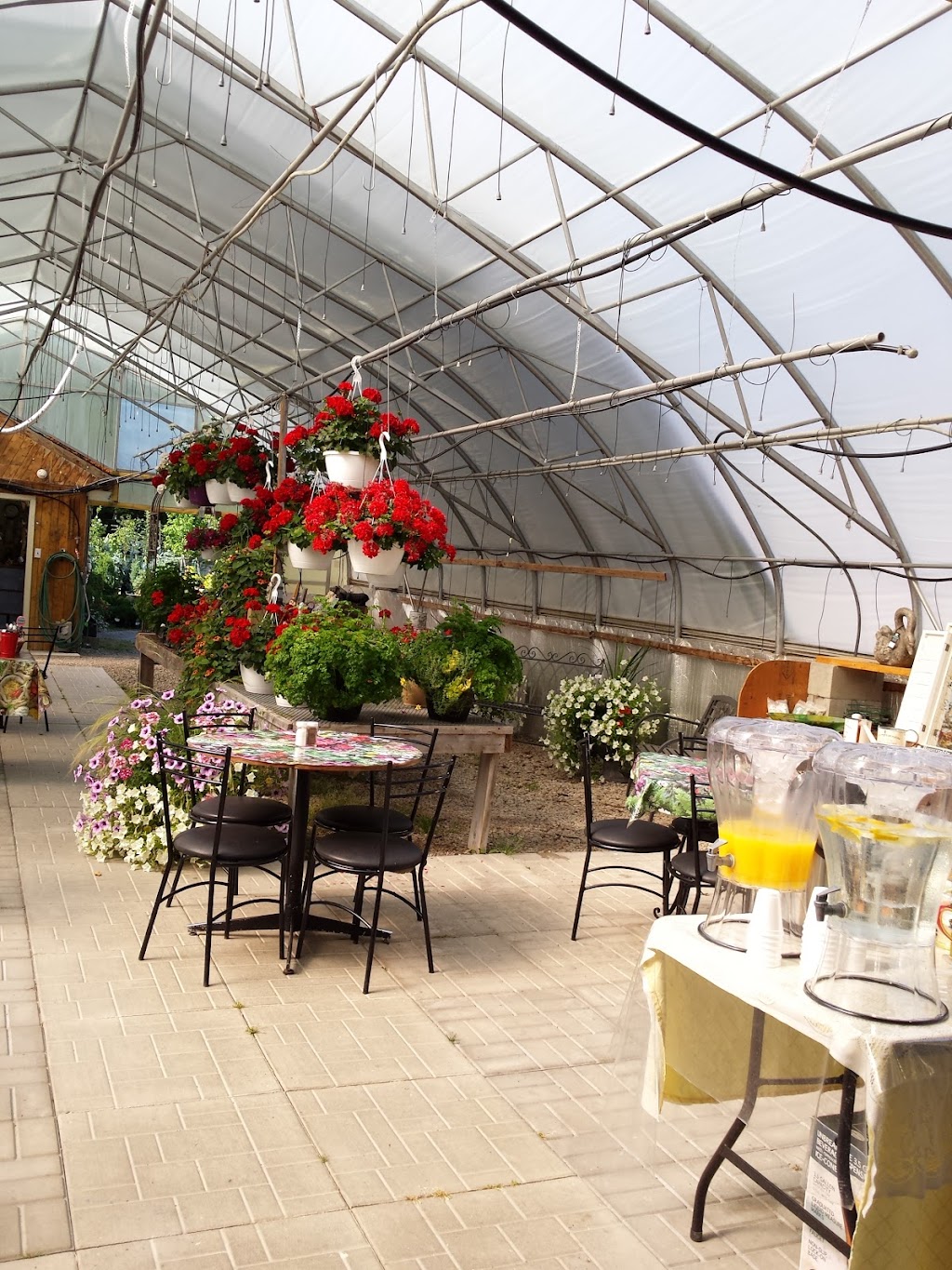 J Ds Manitoulin Garden Centre | 231 Side Rd 10, Tehkummah, ON P0P 2C0, Canada | Phone: (705) 859-2393