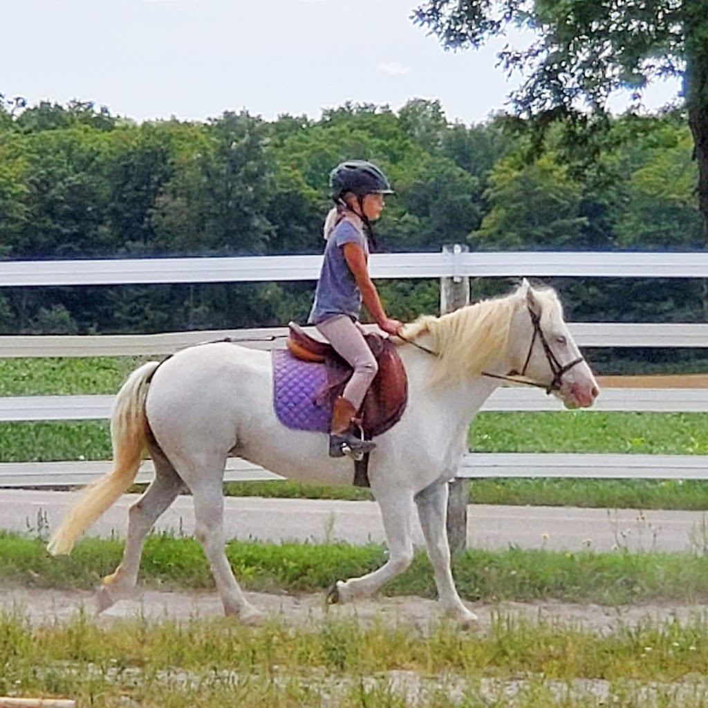 JL Equestrian Centre | 1110 Huron Rd, Petersburg, ON N0B 2H0, Canada | Phone: (226) 808-3518