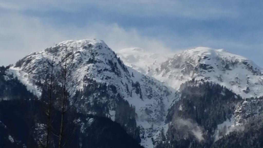 Doug Horth Contracting | 1623 Depot Rd E, Brackendale, BC V0N 1H0, Canada | Phone: (604) 898-3109