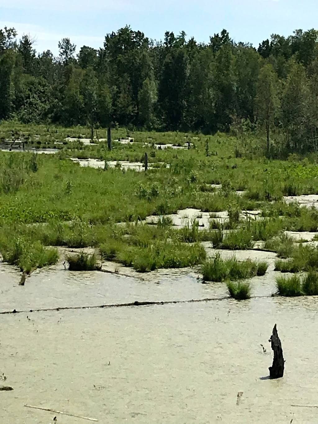 Beaver Hills Biodiversity Trail | Strathcona County, AB T8G 2C8, Canada | Phone: (780) 464-8117