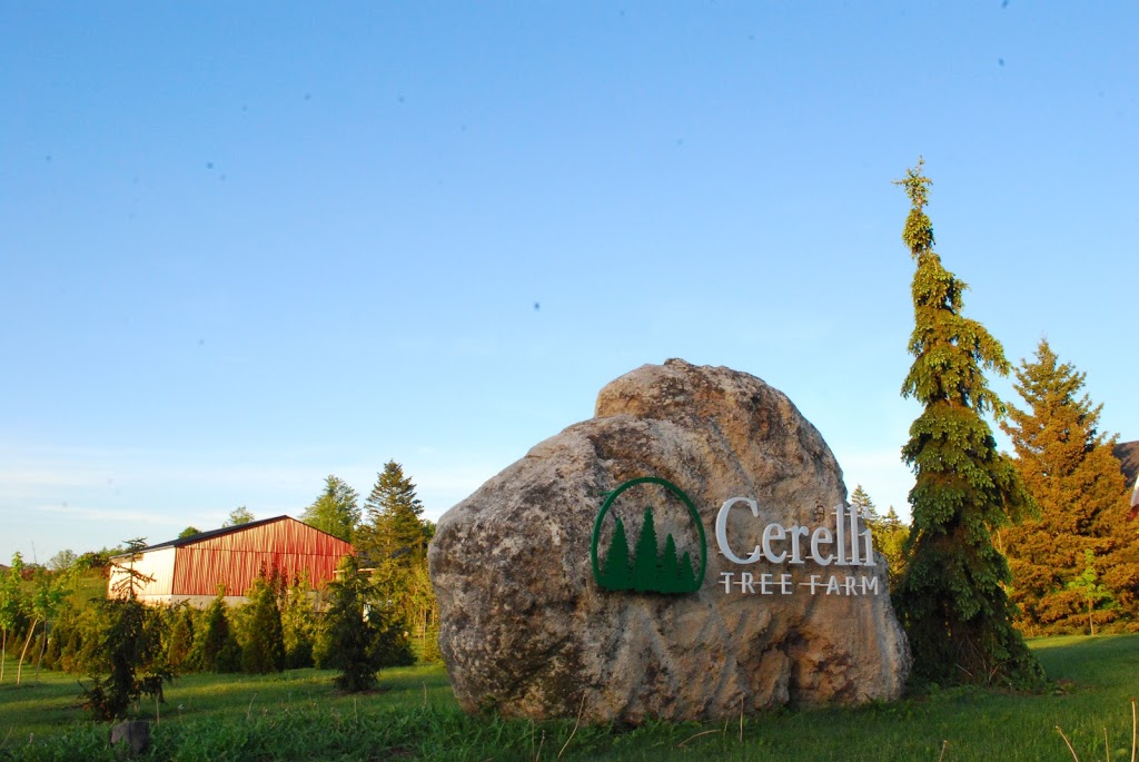 Cerelli Tree Farm | 8042 Appleby Line, Milton, ON L9T 2Y1, Canada | Phone: (905) 299-9677
