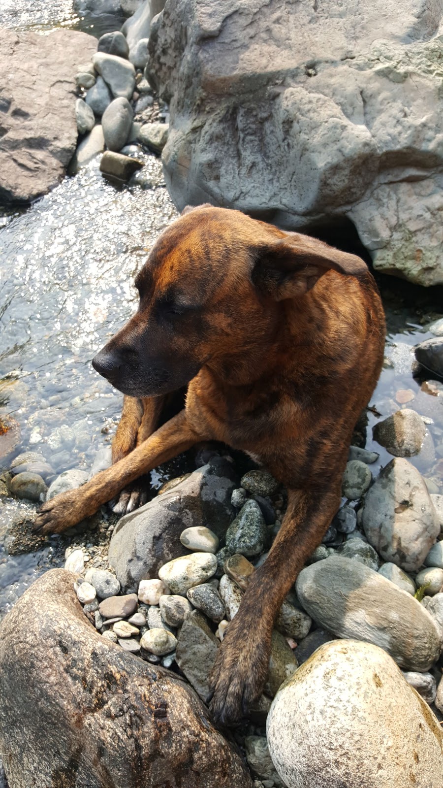 Sooke Potholes Campground | Sooke River Road, Sooke, BC V9A 3N6, Canada | Phone: (250) 360-3000