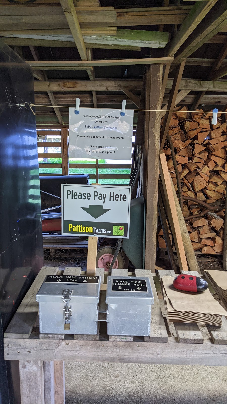 Pattison Farms | 2124 Dzini Rd, Black Creek, BC V9J 1H1, Canada | Phone: (250) 897-2510