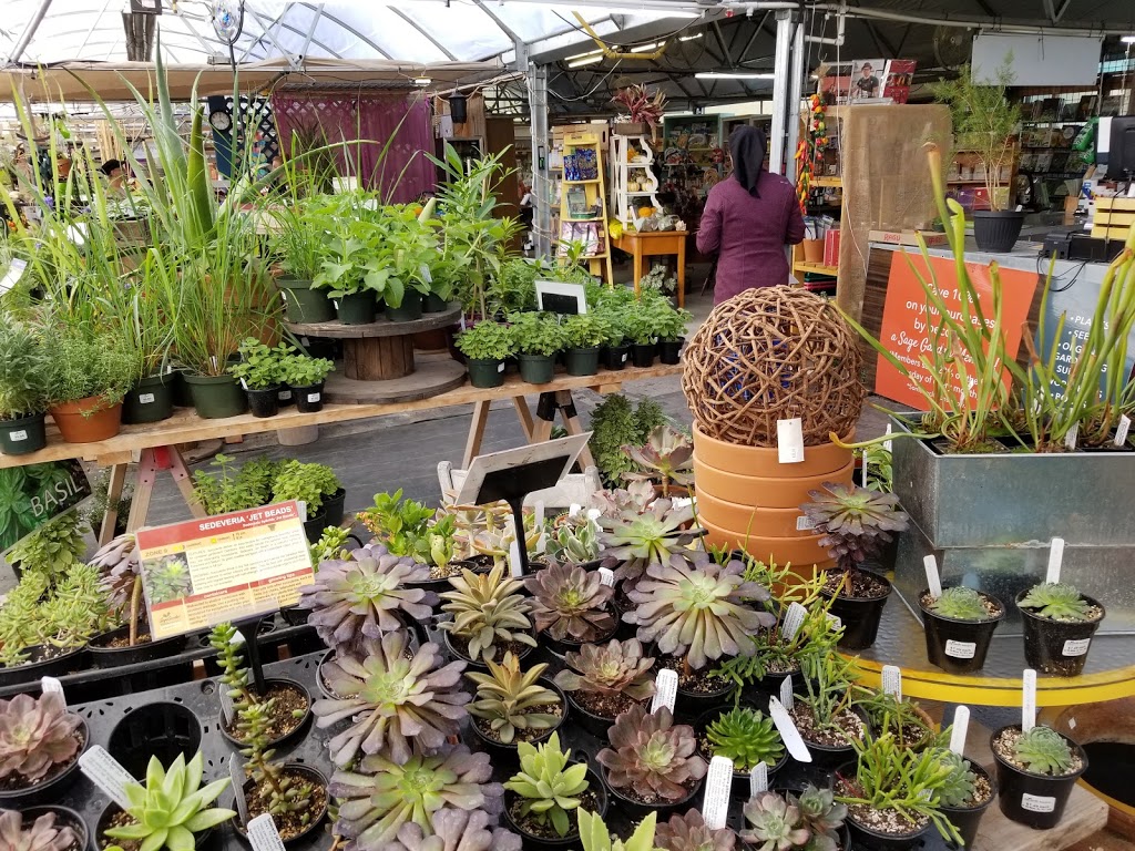 Sage Gardens Greenhouses | 3410 St Marys Rd, Winnipeg, MB R2N 4E2, Canada | Phone: (204) 257-2715
