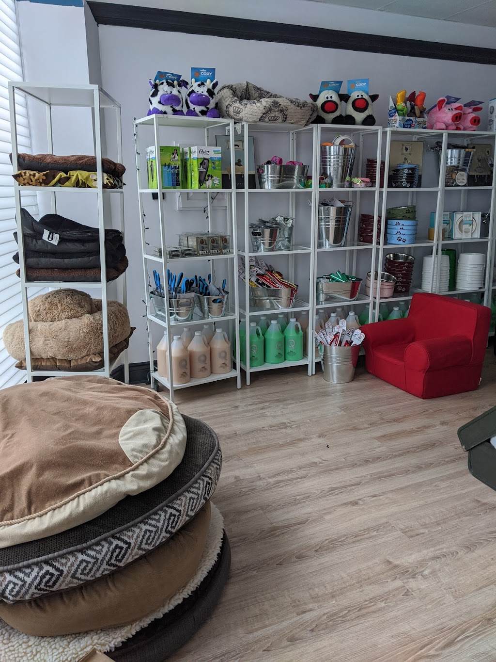 Matties Place | pet store | 159 Fallingbrook Rd, Scarborough, ON M1N 2V2, Canada | 4165517005 OR +1 416-551-7005