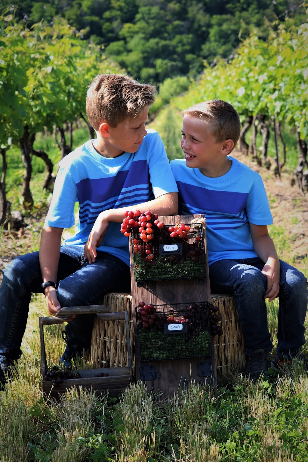 brookLENS Photography | 4300 Dennis Ave, Beamsville, ON L0R 1B3, Canada | Phone: (289) 339-0109