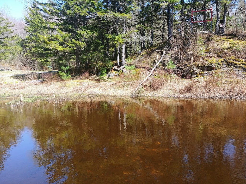 Parcours Missisquoi Nord | Rue du Parc, Saint-Étienne-de-Bolton, QC J0E 2E0, Canada