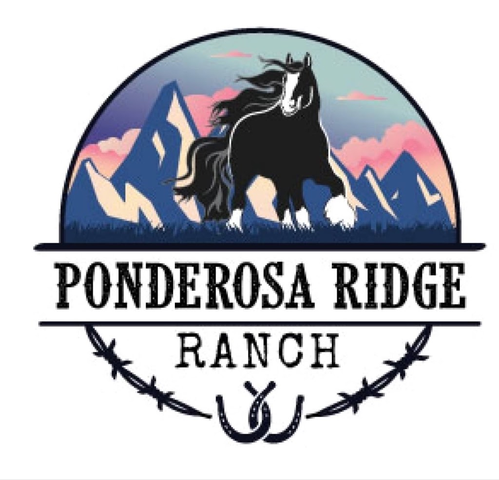 Ponderosa Ridge Ranch | point of interest | 1029 BC-5A, Princeton, BC V0X 1W0, Canada | 2504381066 OR +1 250-438-1066