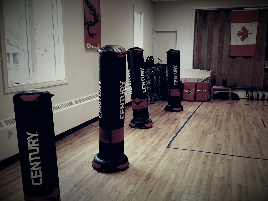 Northern Fist Martial Arts | 4276 Roseland Dr E, Windsor, ON N9G 1Y7, Canada | Phone: (226) 782-9456