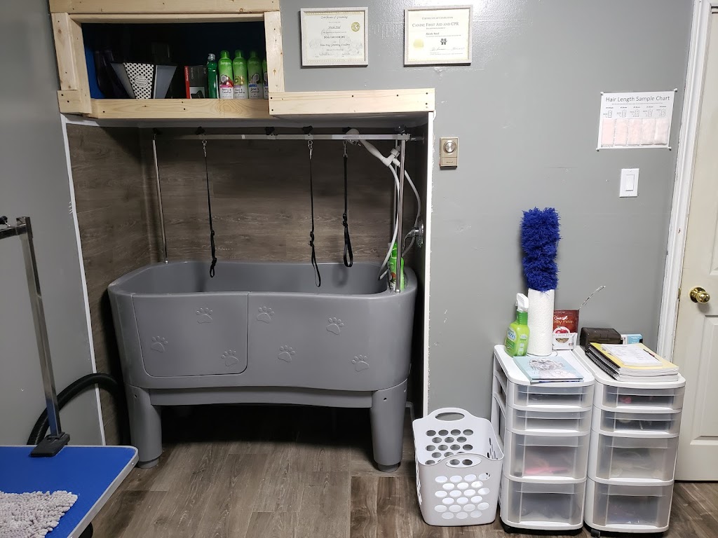 Bouctouche Dog and Cat Grooming | 249 Irving Blvd, Bouctouche, NB E4S 3K5, Canada | Phone: (506) 878-1418