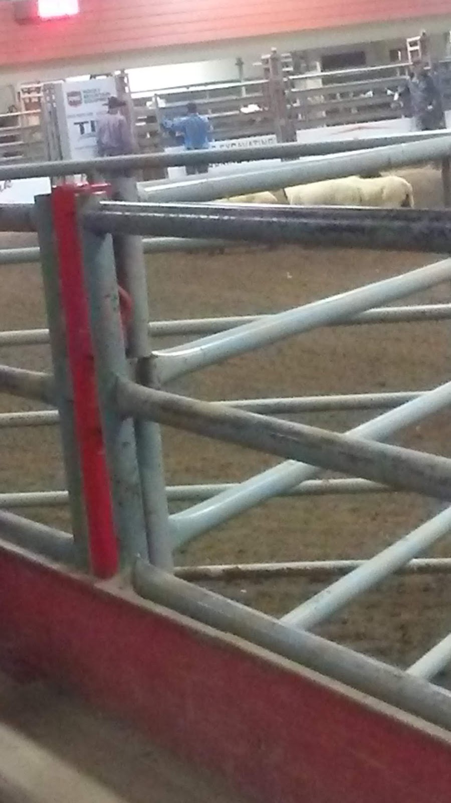 Taber Exhibition Association | 6602 53 St, Taber, AB T1G 2A2, Canada | Phone: (403) 223-9539