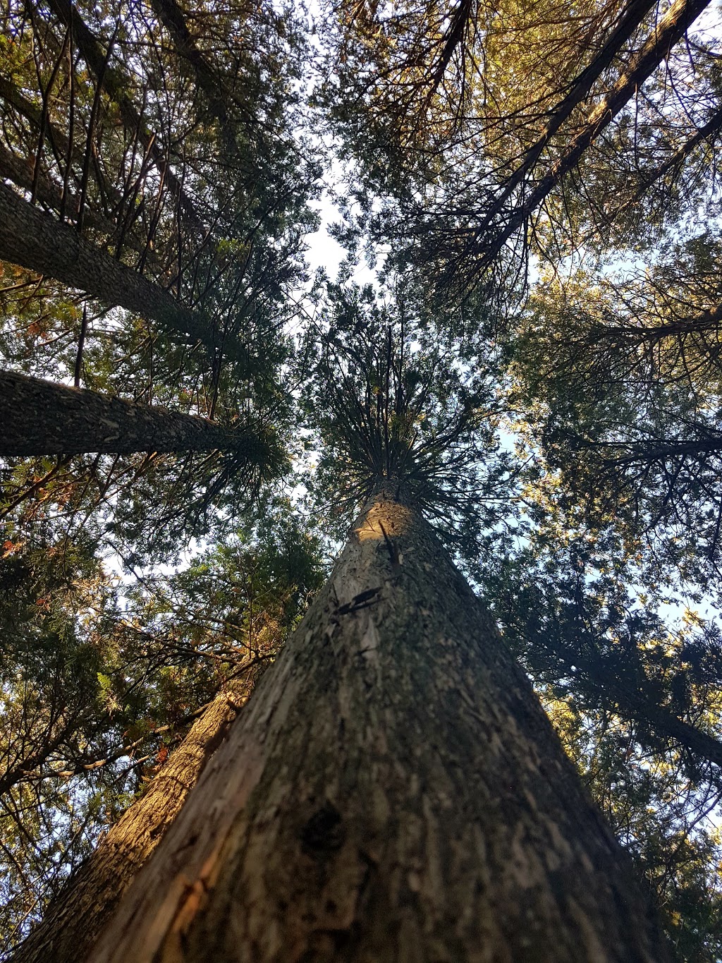 Bannockburn Trail | 76249 Bannockburn Line, Exeter, ON N0M 2R0, Canada