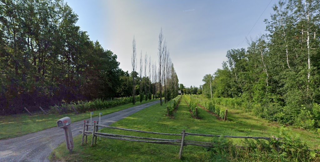 Vignoble Hemmingford / Hemmingford Winery | 758 Chem. Williams, Hemmingford, QC J0L 1H0, Canada | Phone: (514) 726-0414