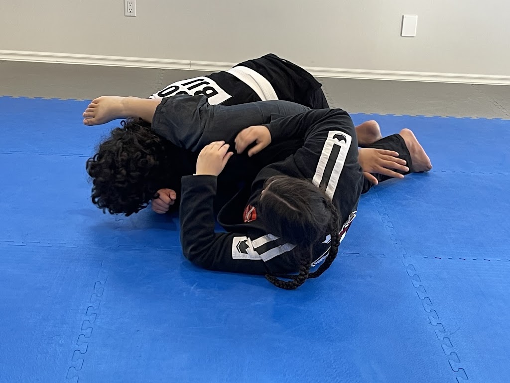 Kawartha Lakes BJJ and Fitness | 11 Cross Creek Rd, Little Britain, ON K0M 2C0, Canada | Phone: (416) 402-3199