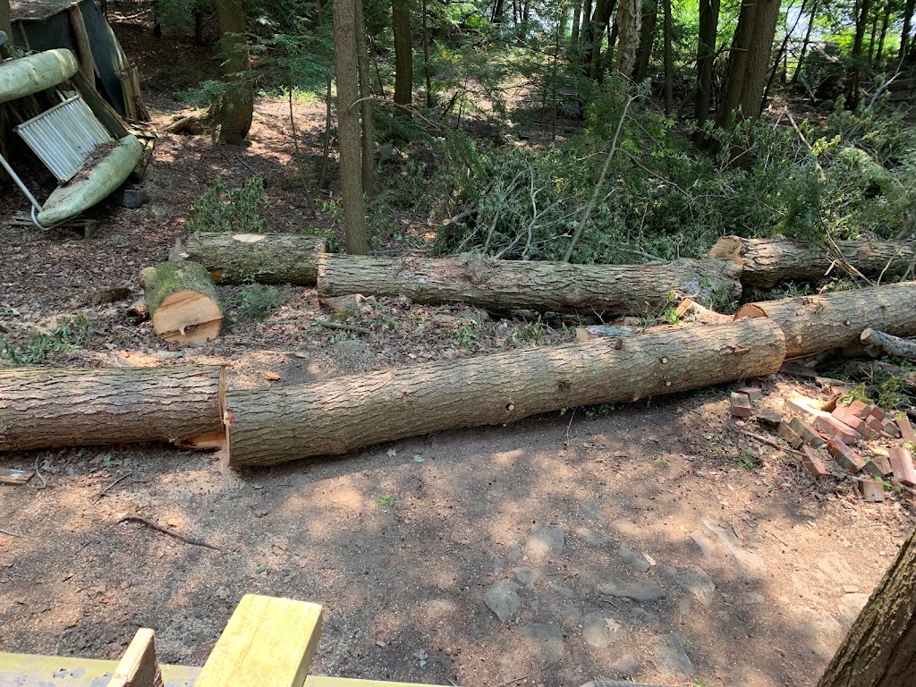 TreeWiseGuys Inc. | 60 Blackstone- Crane Lk Rd, Seguin, ON P2A 2W8, Canada | Phone: (905) 868-7326