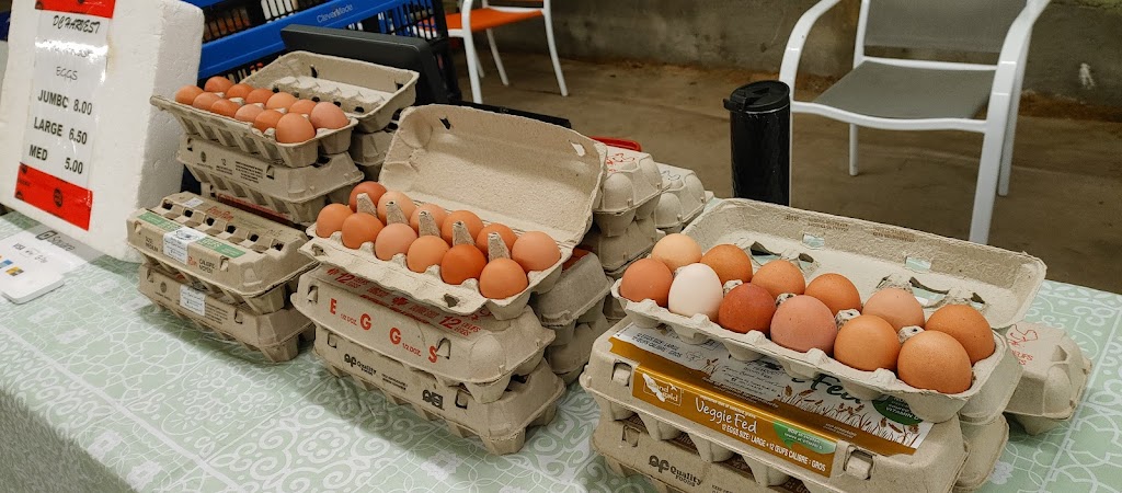 DC Harvest | 2782 Wilcox Rd, Powell River, BC V8A 0P3, Canada | Phone: (604) 414-8780