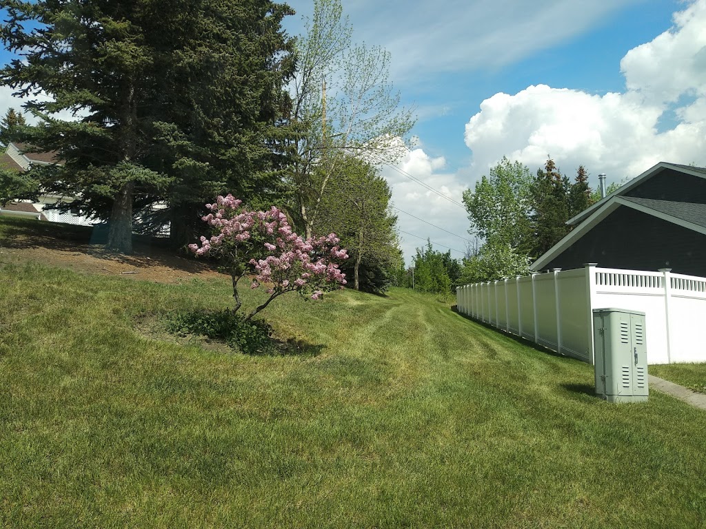 Edgemont Area 1 Off Leash Dog Park | 91 Edgeview Rd NW, Calgary, AB T3A 4T7, Canada