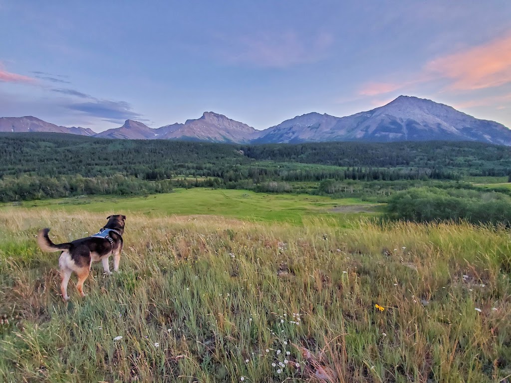 Crowsnest River RV Park | 3704 18 Ave, Coleman, AB T0K 0M0, Canada | Phone: (403) 562-7771
