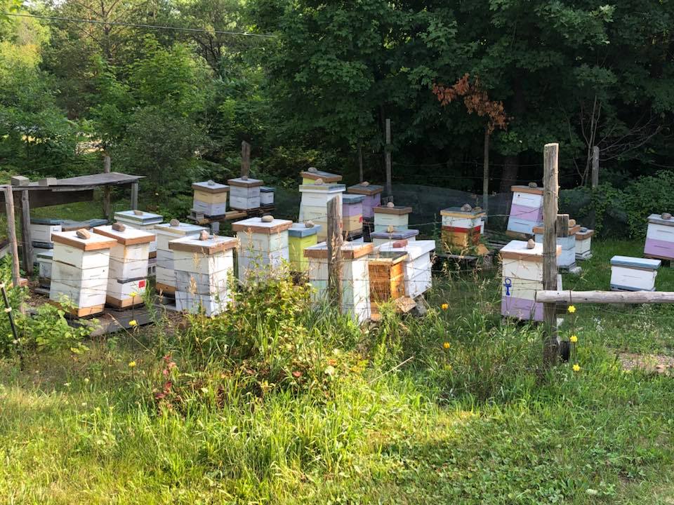 Herb Guys Honey House | #3990, Peterborough County Rd 36, Buckhorn, ON K0L 1J0, Canada | Phone: (705) 657-9971