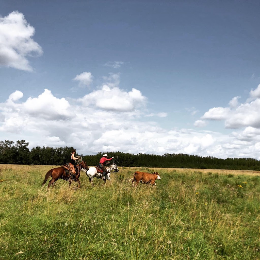 Letts Farm | 60231- Rge Rd, 11, Westlock, AB T7P 2N9, Canada | Phone: (780) 307-6211