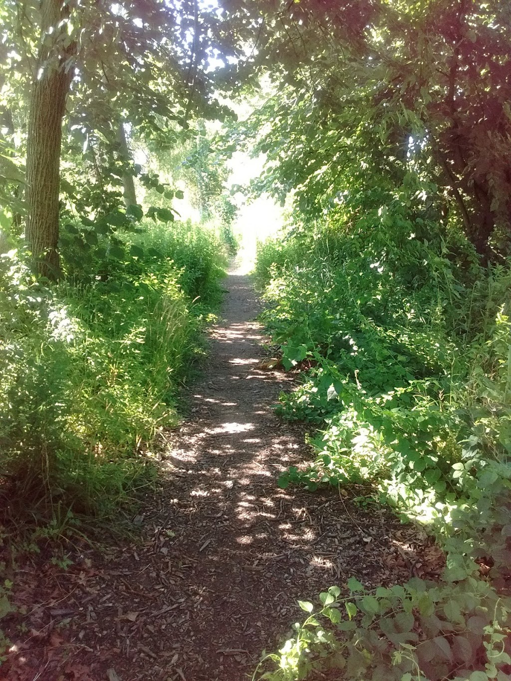 St Clair Hiking Trail rest area | St Clair, MI 48079, USA