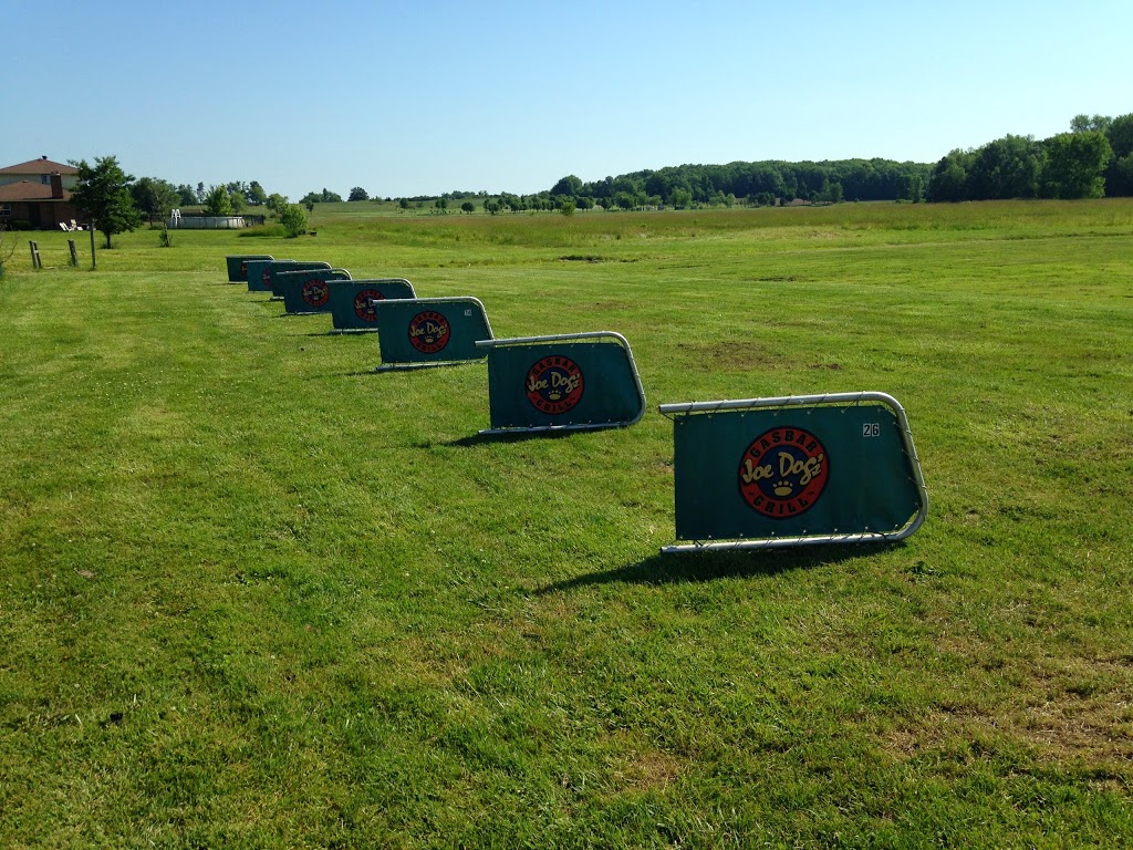 Fore Family Golf Centre | 239 Mountain Rd, Grimsby, ON L3M 4E7, Canada | Phone: (289) 808-9648