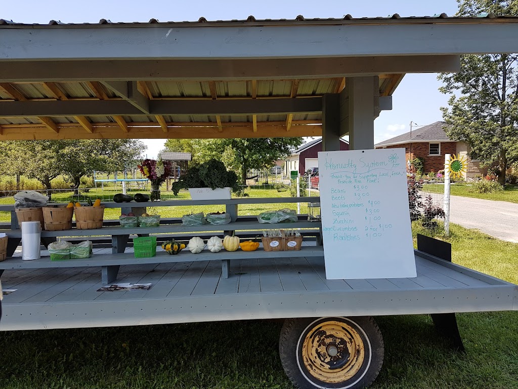 Under the Sun Farm | 1215 Simmons Rd, Odessa, ON K0H 2H0, Canada | Phone: (613) 777-2003