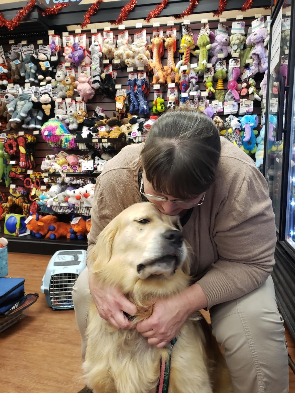 Pet Valu | 216 Goderich St, Port Elgin, ON N0H 2C1, Canada | Phone: (519) 389-4240