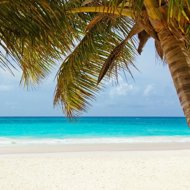 Caye Dive & Travel | 53 Marchwood Crescent, Bowmanville, ON L1C 5K5, Canada | Phone: (905) 903-4720
