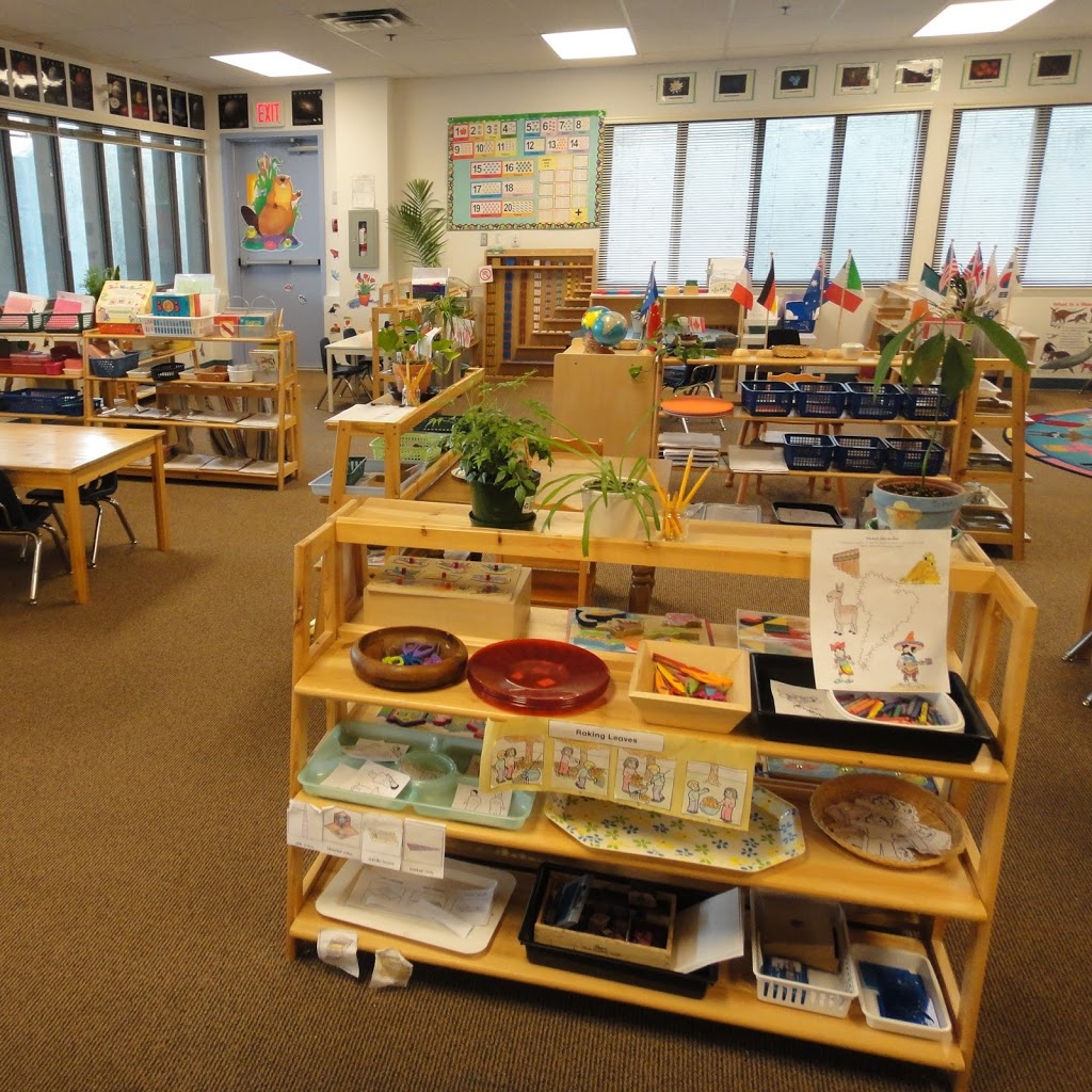 Willowbrook Montessori Daycare | 20317 67 Ave, Langley City, BC V2Y 1P6, Canada | Phone: (604) 533-5469