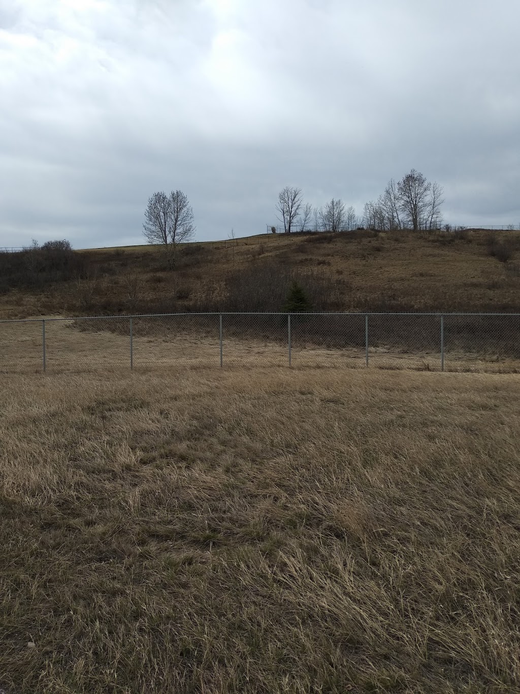 Winston Heights Off Leash Area | Winston Heights-Mountview, Calgary, AB T2E 5R1, Canada | Phone: (403) 268-2489