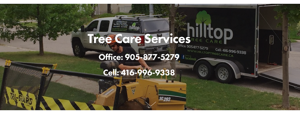 Hilltop Tree Care | 112 Guelph St, Georgetown, ON L7G 4T1, Canada | Phone: (905) 877-5279