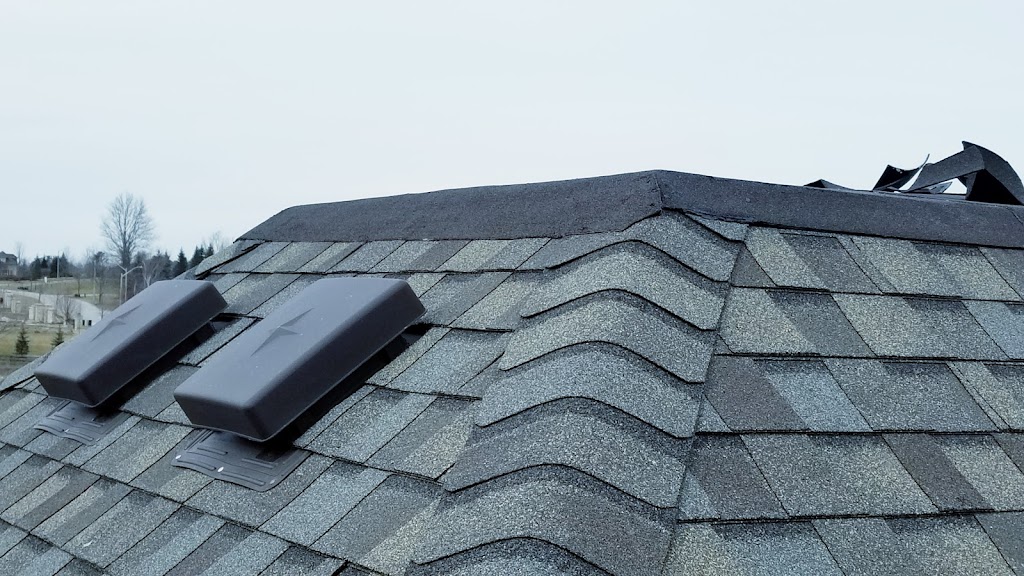 Golden Phoenix Construction Inc | 306 Grandravine Dr unit 179, North York, ON M3N 1J4, Canada | Phone: (647) 567-0053