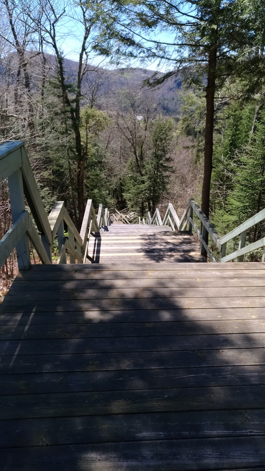 大叢林三寶山 | 690 Chemin de la Rivière Rouge, Harrington, QC J8G 2S7, Canada | Phone: (819) 687-2183