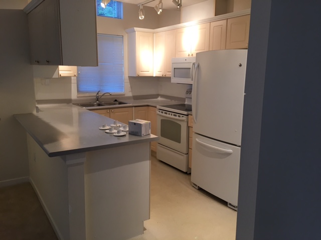 All Renos Construction | Surrey, BC V3R 4X4, Canada | Phone: (604) 584-3885