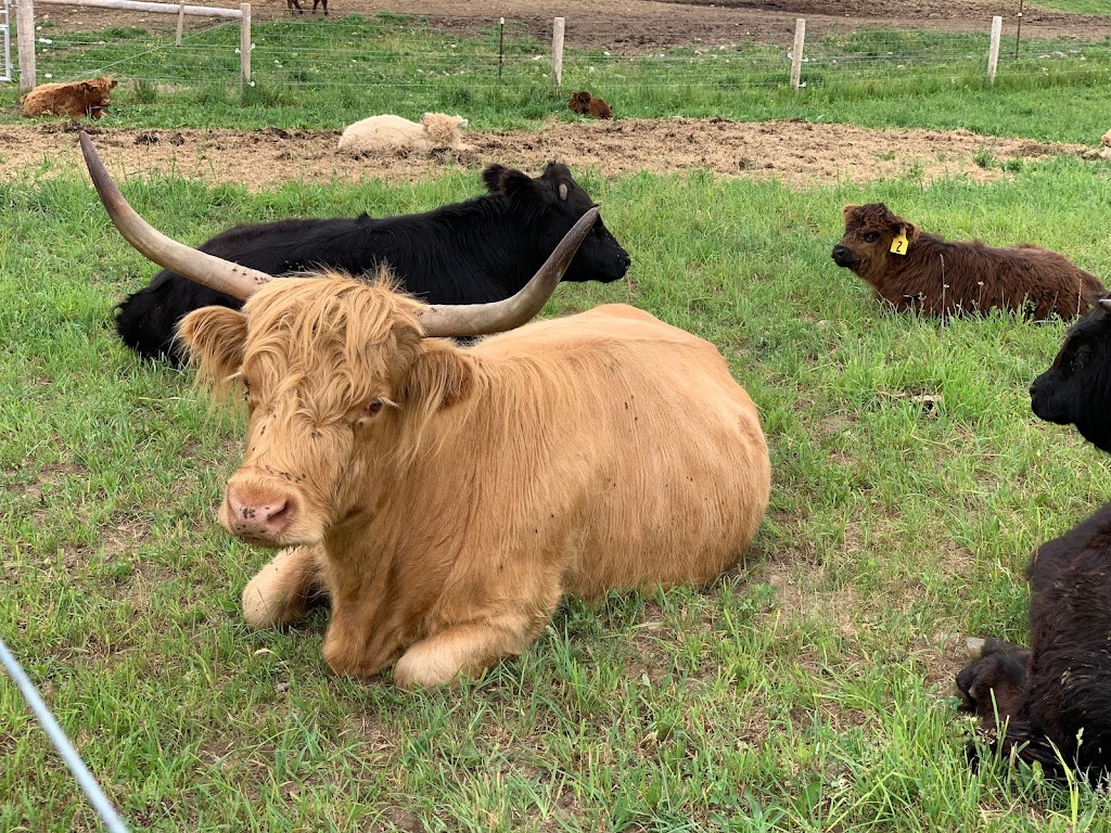 DNAs Farm | 45754 Fordwich Line, Clifford, ON N0G 1M0, Canada | Phone: (519) 573-5283