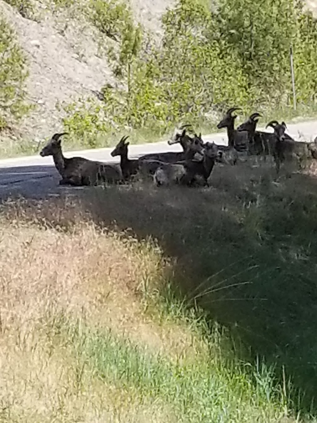 Bear Creek Provincial Park | Westside Rd, Central Okanagan G, BC V1Z 3S4, Canada | Phone: (250) 769-6825
