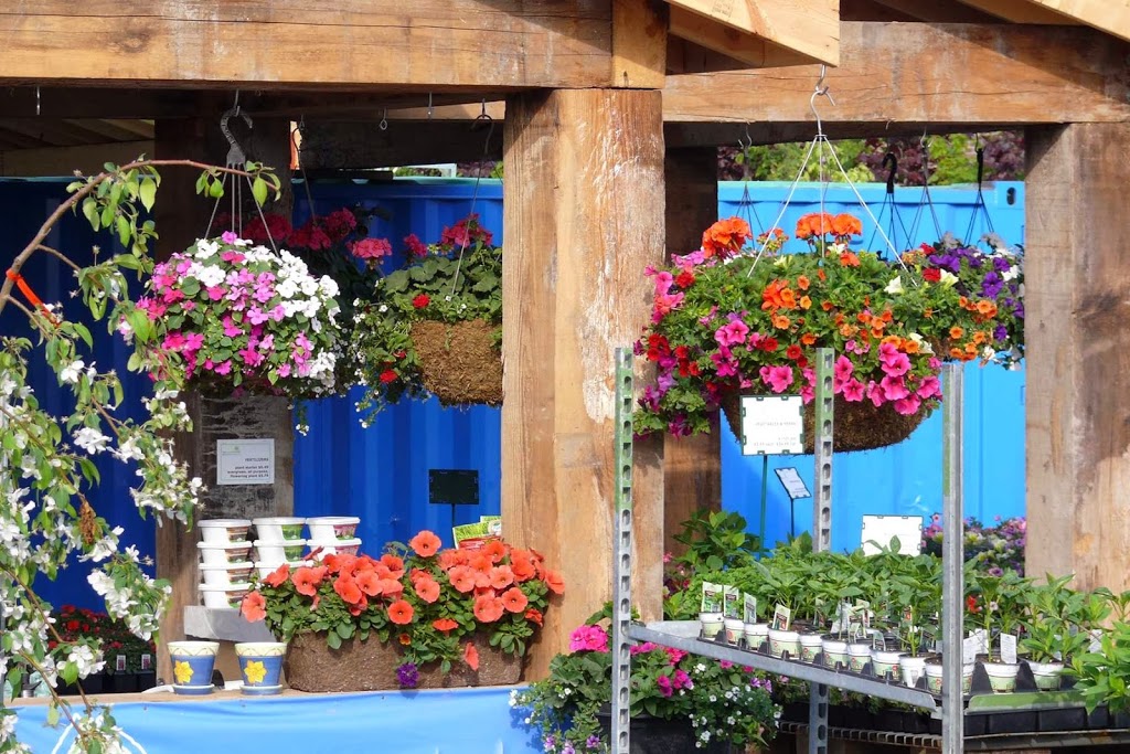 Beech Nursery | 4 Carlaw Ave, Toronto, ON M4M 2R5, Canada | Phone: (416) 461-6555
