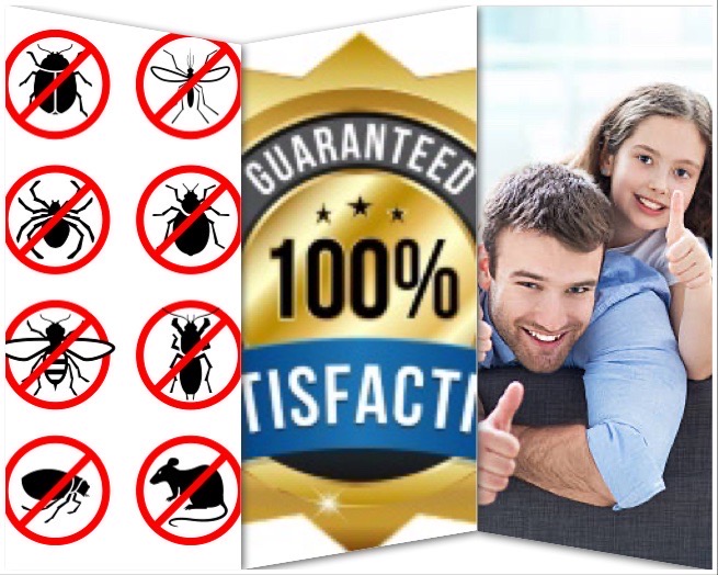 PEST CONTROL MILTON - FAST | 338 English Mill Ct, Milton, ON L9E 0A7, Canada | Phone: (647) 370-8805