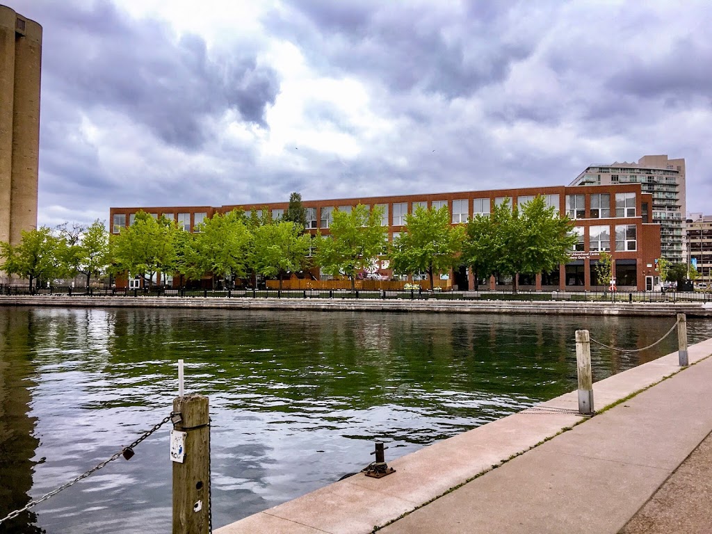 City School | 635 Queens Quay W, Toronto, ON M5V 3G3, Canada | Phone: (416) 393-1470