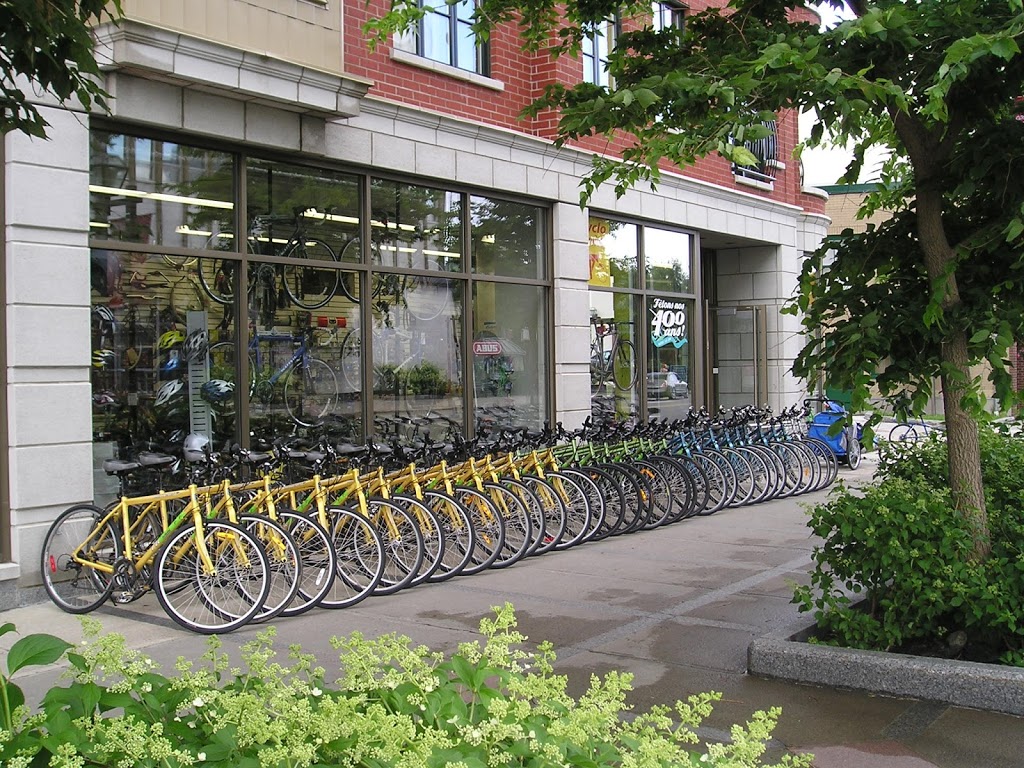 Cyclo Services | 289 Rue Saint-Paul, Québec, QC G1K 3W6, Canada | Phone: (418) 692-4052