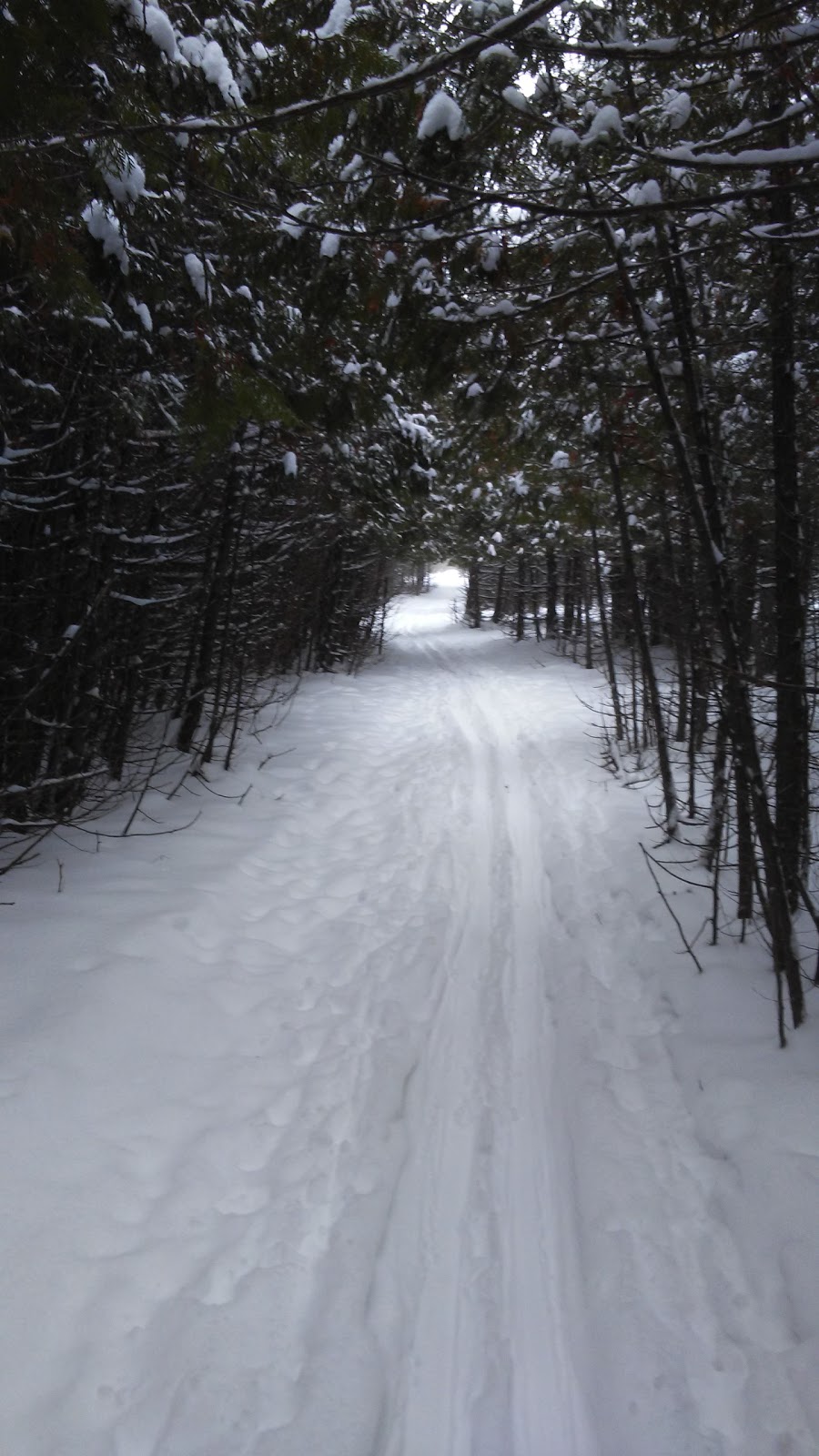 NCC Greenbelt P4 | Timm Dr, Ottawa, ON K2L 4G2, Canada
