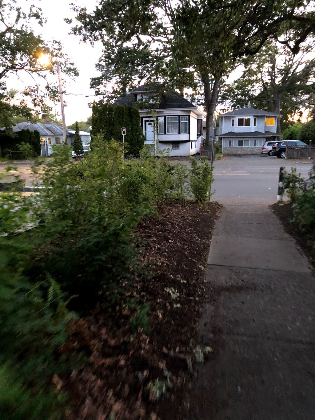 Emerson’s Way | 1706 Emerson St, Victoria, BC V8R 2C3, Canada