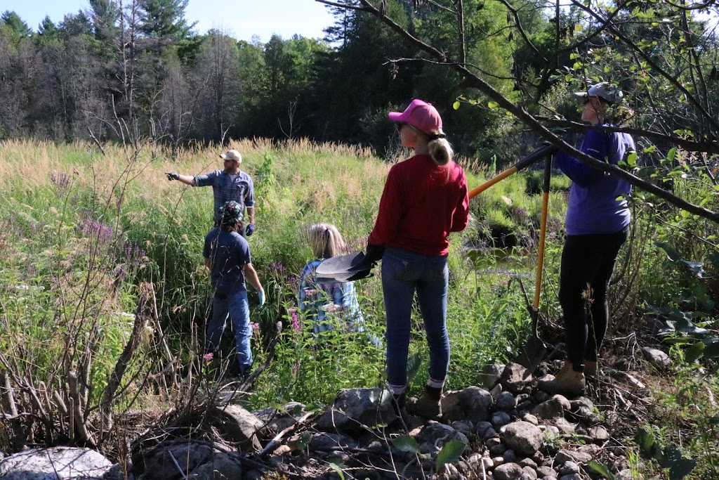 Watersheds Canada | 40 Sunset Blvd #115, Perth, ON K7H 3C6, Canada | Phone: (613) 264-1244