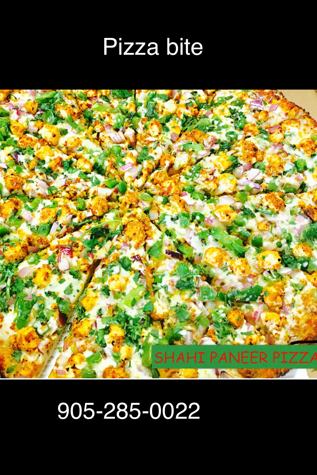 Pizza Bite | 5920 Turney Dr, Mississauga, ON L5M 2R8, Canada | Phone: (905) 285-0022